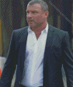 Liev Schreiber Ray Donovan Character Diamond Painting