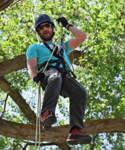 Man Doing Tree Climb Diamond Painting