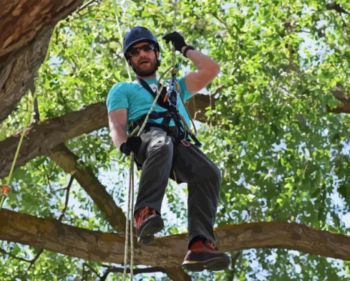 Man Doing Tree Climb Diamond Painting