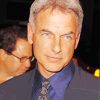 Mark Harmon American Actor Diamond Painting