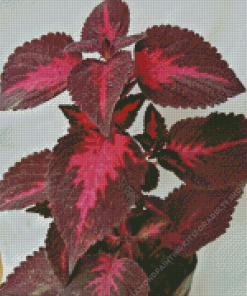 Maroon Leaves Diamond Painting