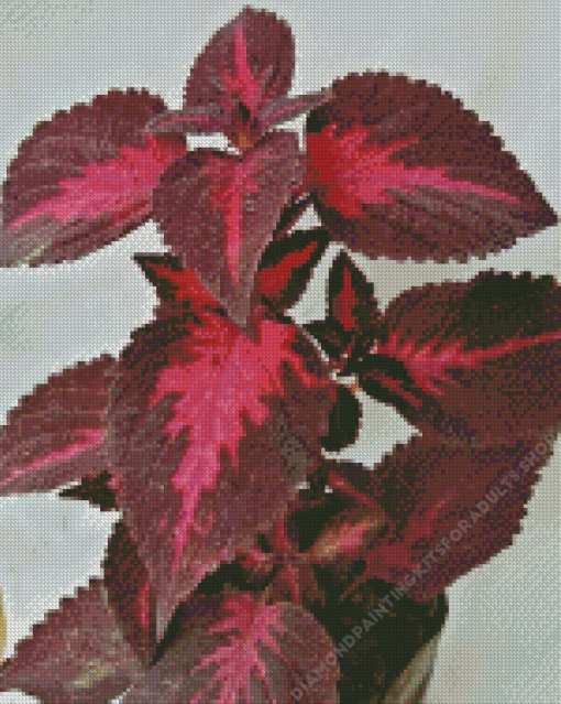 Maroon Leaves Diamond Painting