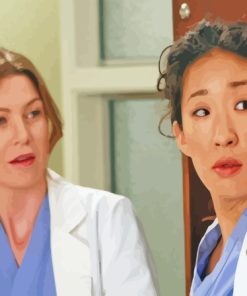 Meredith And Cristina Characters Diamond Painting