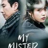 My Mister Poster Diamond Painting