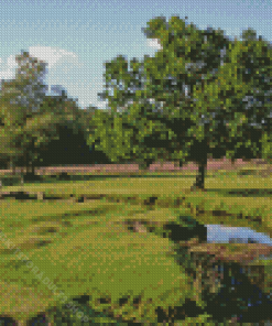 New Forest National Park England Diamond Painting