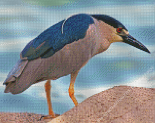 Night Heron Diamond Painting