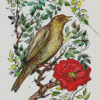 Nightingale With Red Flower Art Diamond Painting