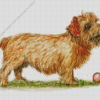 Norfolk Terrier With Ball Art Diamond Painting