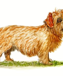 Norfolk Terrier With Ball Art Diamond Painting