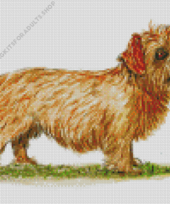 Norfolk Terrier With Ball Art Diamond Painting