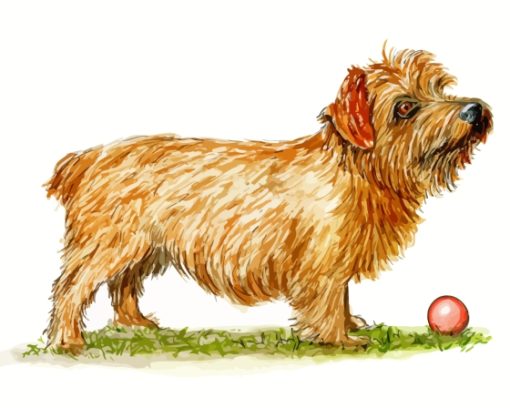 Norfolk Terrier With Ball Art Diamond Painting