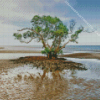 Nudgee Beach Tree Diamond Painting