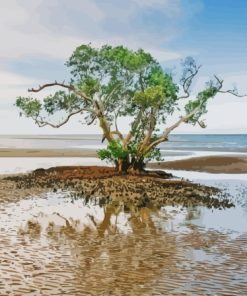 Nudgee Beach Tree Diamond Painting