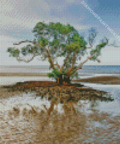 Nudgee Beach Tree Diamond Painting