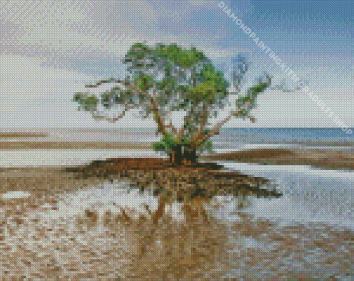 Nudgee Beach Tree Diamond Painting