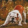 Old English Bulldog With Branch Diamond Painting