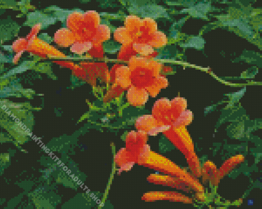 Orange Trumpet Vines Plant Diamond Painting