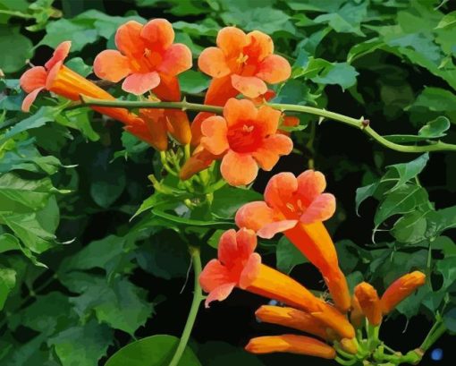 Orange Trumpet Vines Plant Diamond Painting