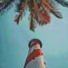 Palm Tree With Lighthouse Diamond Painting