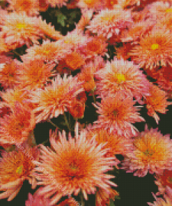 Peach Chrysanthemum Flowers Diamond Painting