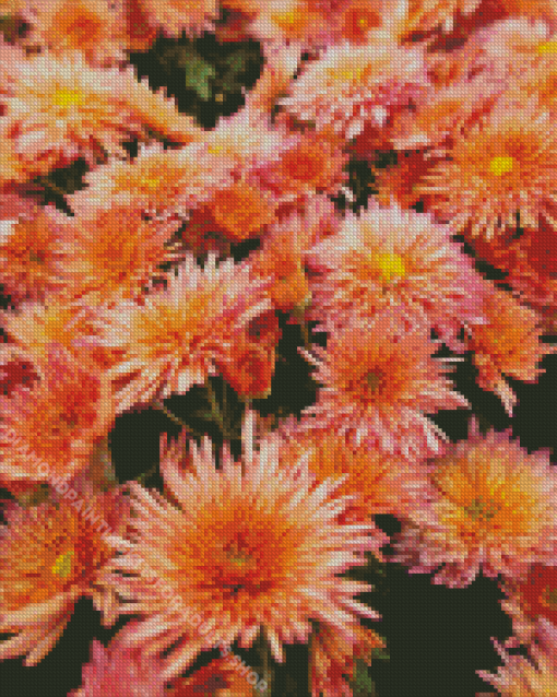 Peach Chrysanthemum Flowers Diamond Painting