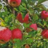 Pink Lady Apple Tree Diamond Painting