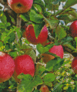 Pink Lady Apple Tree Diamond Painting