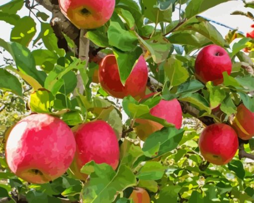 Pink Lady Apple Tree Diamond Painting