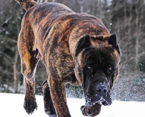 Presa Canario Dog In Snow Diamond Painting