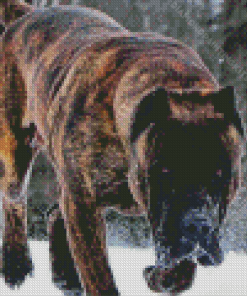 Presa Canario Dog In Snow Diamond Painting