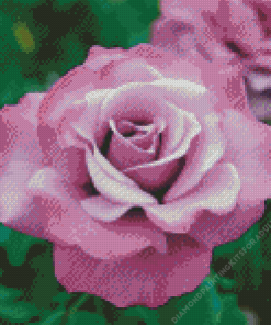 Purple Floribunda Rose Diamond Painting