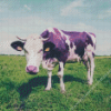 Purple Cow Animal Diamond Painting