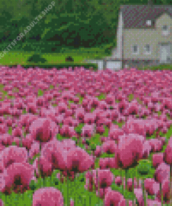 Purple Poppy Field Diamond Painting