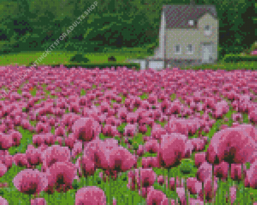 Purple Poppy Field Diamond Painting