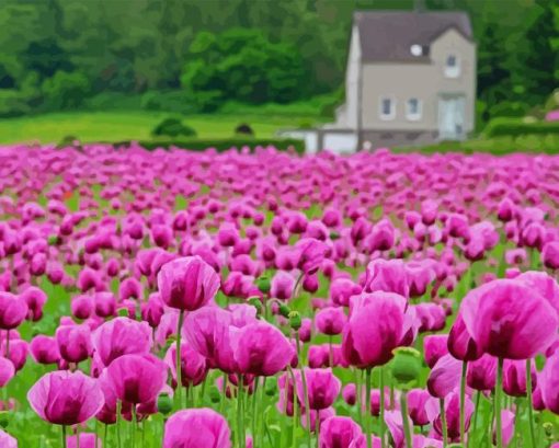 Purple Poppy Field Diamond Painting