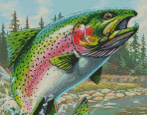 Royal dream Colored Salmon Diamond Painting