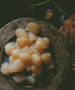 Raw Scallops Diamond Painting