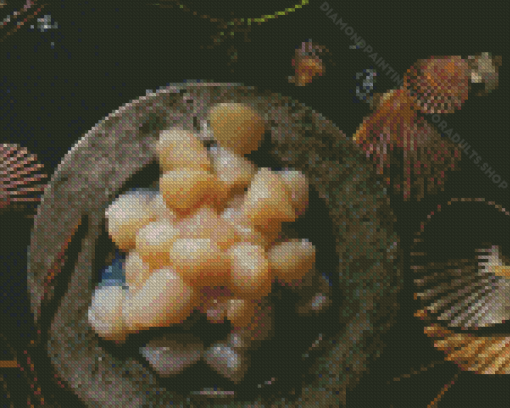 Raw Scallops Diamond Painting