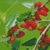 Red Mulberry Tree Diamond Painting