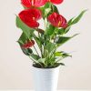 Red Flamingo Flower In Pot Diamond Painting