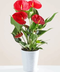 Red Flamingo Flower In Pot Diamond Painting