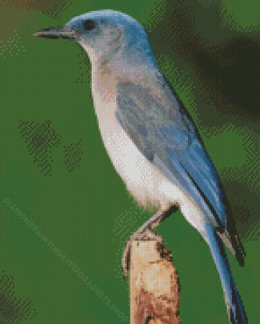 Scrub Jays Diamond Painting