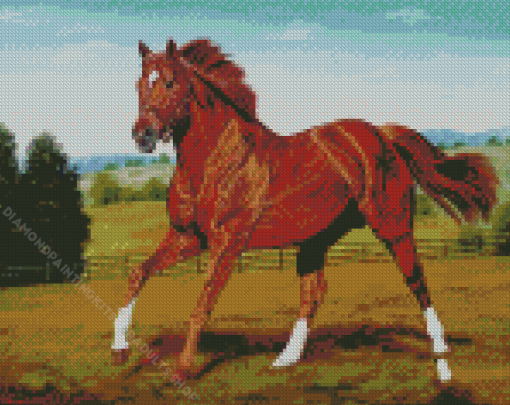 Secretariat Horse Art Diamond Painting