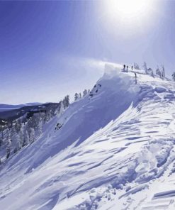 Snowy Alpine Meadows Diamond Painting