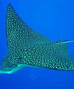 Spotted Eagle Ray Diamond Painting