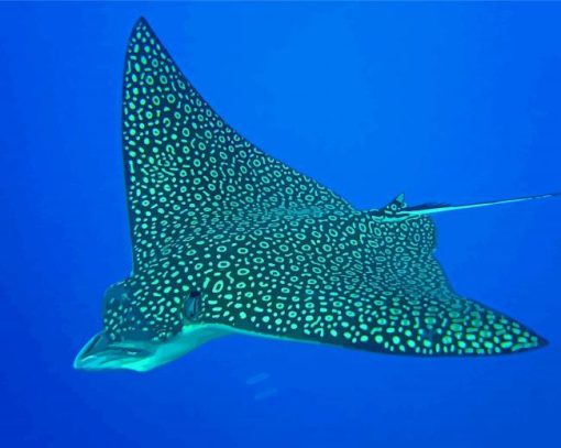 Spotted Eagle Ray Diamond Painting