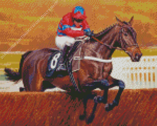 Sprinter Sacre Horse Racing Diamond Painting