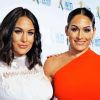 The Beautiful Bella Twins Diamond Painting