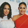 The Beautiful Bella Twins Diamond Painting