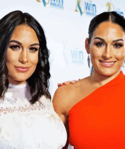 The Beautiful Bella Twins Diamond Painting